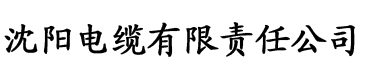 久久的色偷偷电缆厂logo